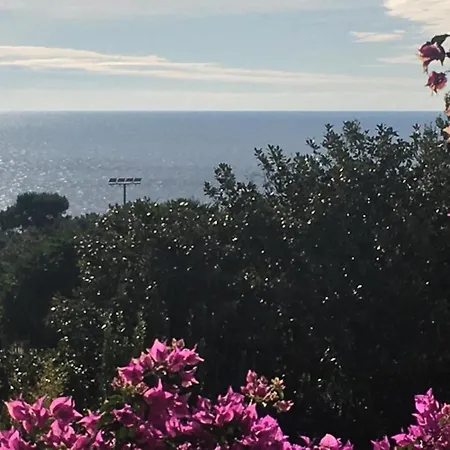 Hébergement de vacances - Andri *